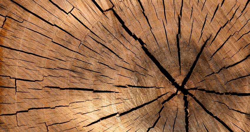 Gérer l'humidité du bois pour une combustion efficace et des