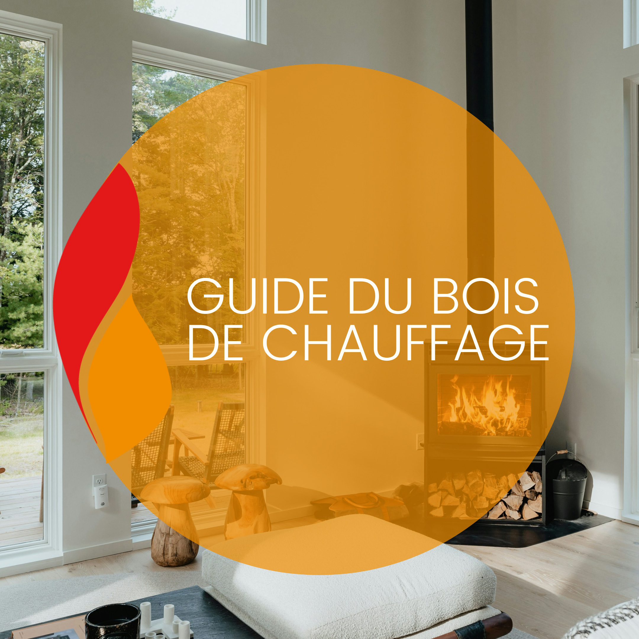 You are currently viewing Guide du bois de chauffage