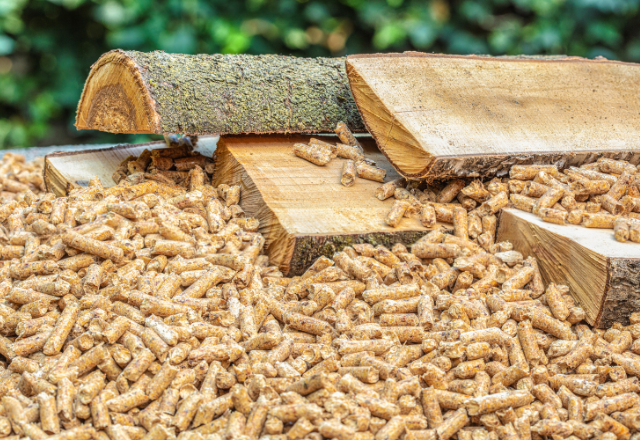 granulés de bois : une énergie renouvelable et accessible